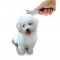 PETBRUSH4B